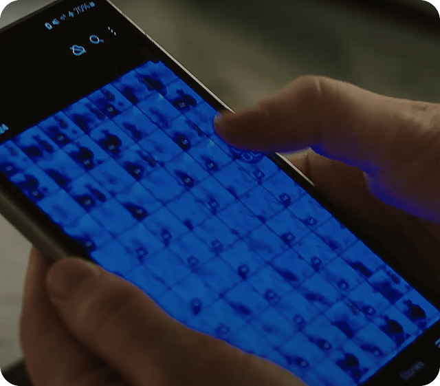 Galaxy smartphone gallery showing consecutively captured photos